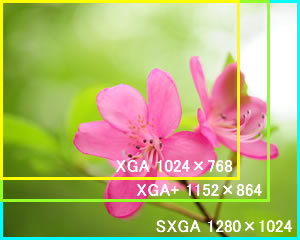 解像度はSXGAに標準対応。カスタマイズによりUXGAにも対応可能
