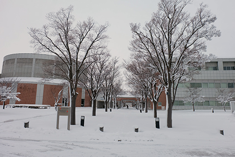 会津大学